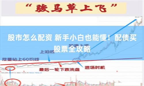 股市怎么配资 新手小白也能懂！配债买股票全攻略