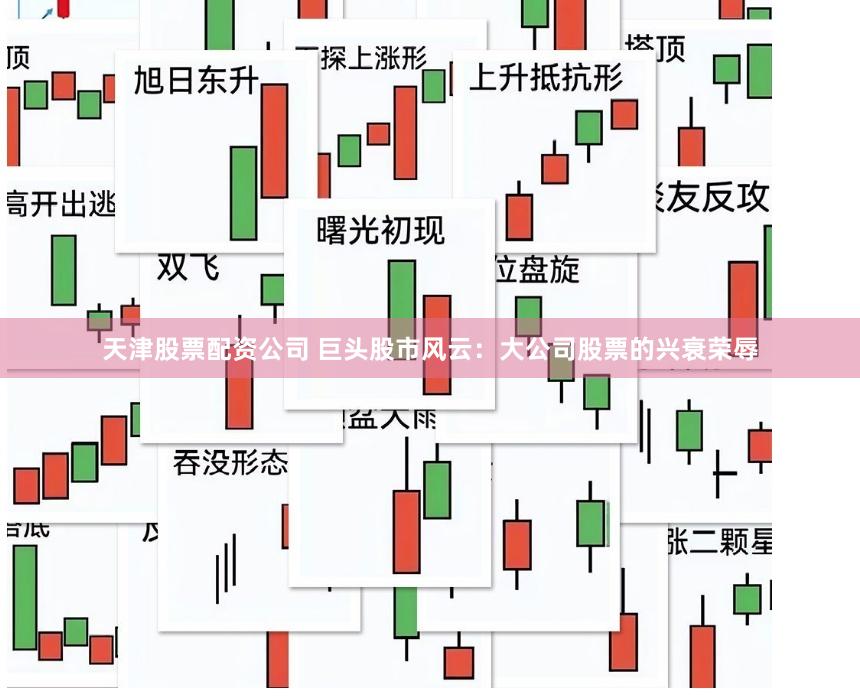 天津股票配资公司 巨头股市风云：大公司股票的兴衰荣辱