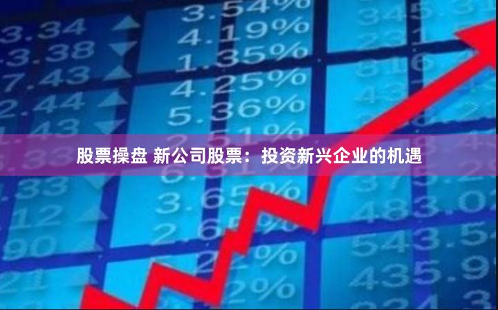 股票操盘 新公司股票：投资新兴企业的机遇