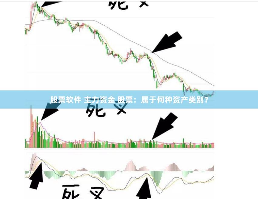 股票软件 主力资金 股票：属于何种资产类别？