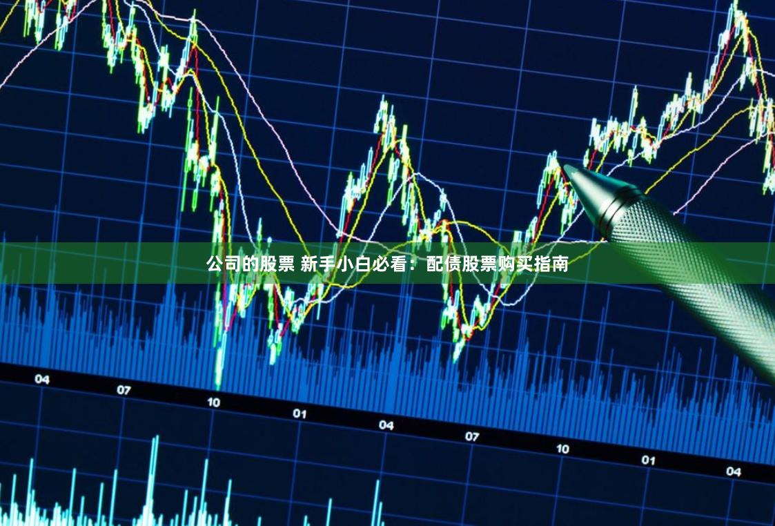 公司的股票 新手小白必看：配债股票购买指南