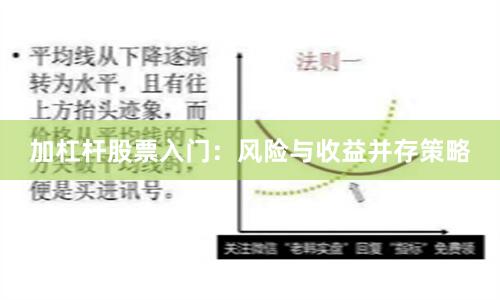 加杠杆股票入门：风险与收益并存策略
