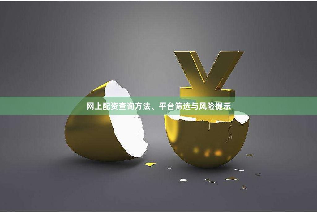 网上配资查询方法、平台筛选与风险提示