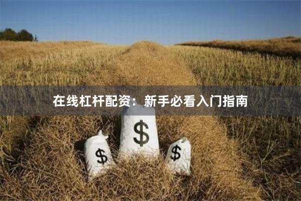 在线杠杆配资：新手必看入门指南